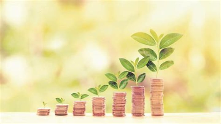 Exploring Wealth, Investments, And Success
